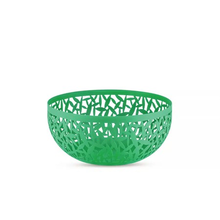 cactus fruttiera piccola verde